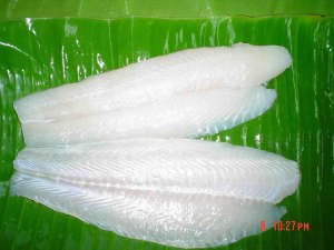 Frozen Pangasius Fillet