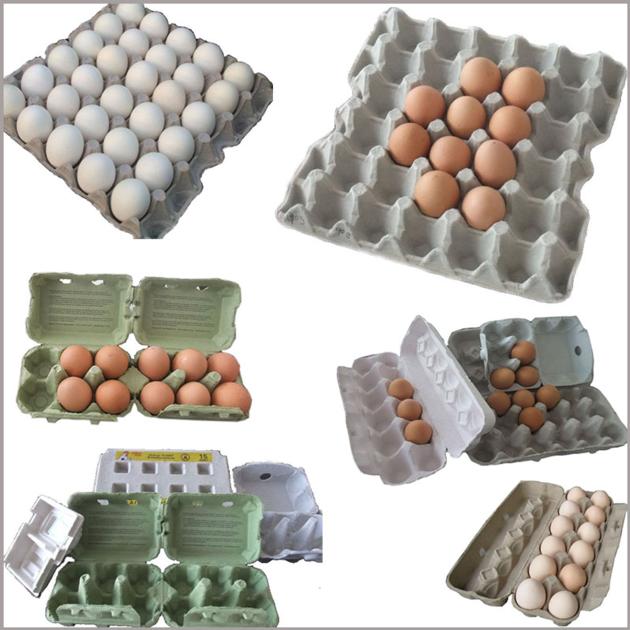 Egg Box Paper Egg Tray Machine