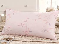 2012 New arrival/Feiyuhong Home Textiles/Free shipping/Healthy pillow1