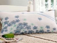 2012 New arrival/Feiyuhong Home Textile/Free shipping/Healthy pillow3