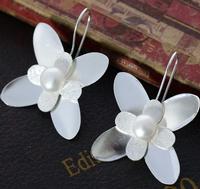 Fashion earring-0017