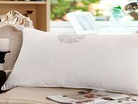 2012 New arrival/Feiyuhong Home Textile/Free shipping/Healthy pillow2