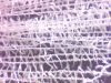 yarn