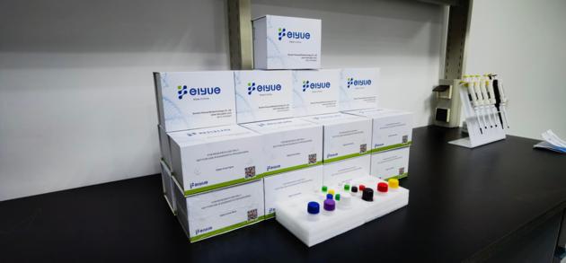Human Elisa kits for research use only