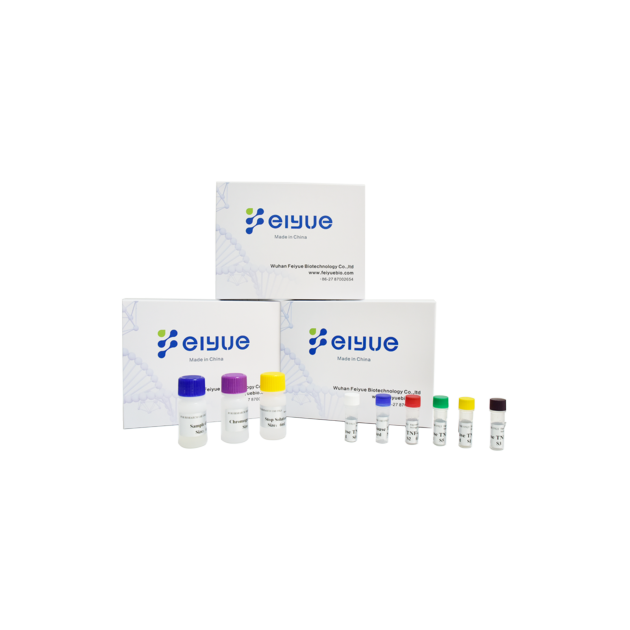 Human IL-33(Interleukin-33) ELISA Kit