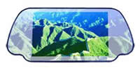 Rear view monitor