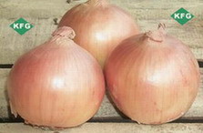 onion