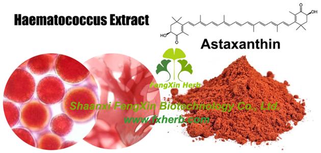 Haematococcus Extract Astaxanthin