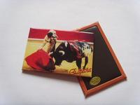 Photo magnet