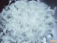 washed duck/goose feathers wholesale 
