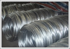 electro galvanized wire and annealed wire