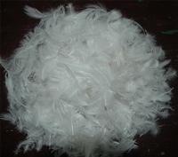 Goose Feather 