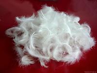 Duck Feather