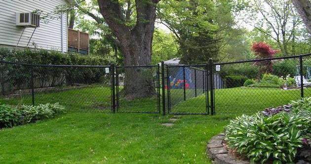 Residential Chain Link Fence