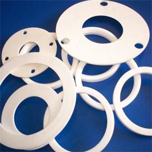PTFE Gasket