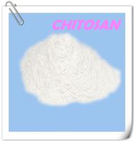 Chitosan in Paper making