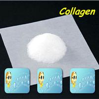 Fish Collagen in food