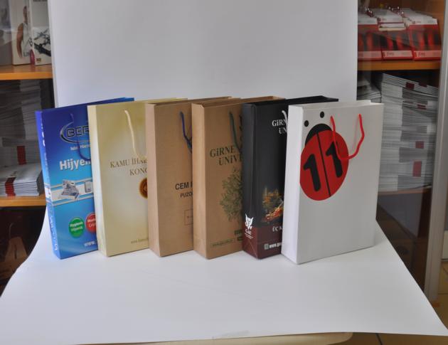 Ofset Printed Paper Bags For Multiple