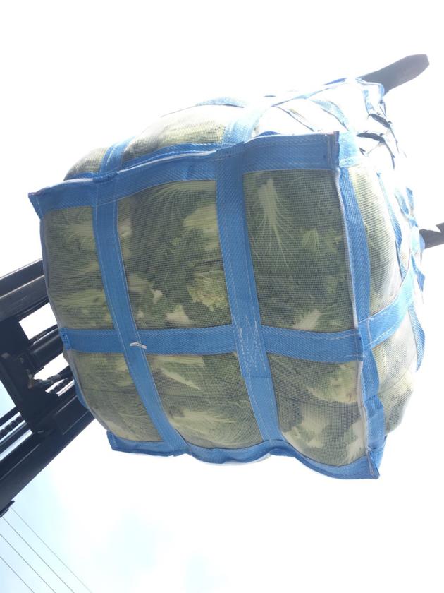 FIBC VIETNAM Industrial Plastic Mesh Bags