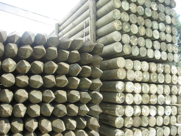 Electrical Wood Poles coniferous, lathed and impregnated by high pressure vacuum
