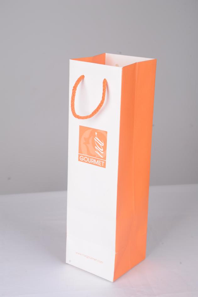 Rope Handled Ofset Printed Paper Bag