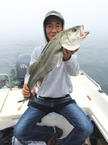 Sea Bass Fishing Rod