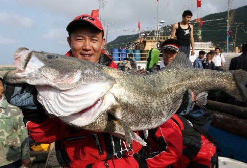 Sea Bass Fishing Rod