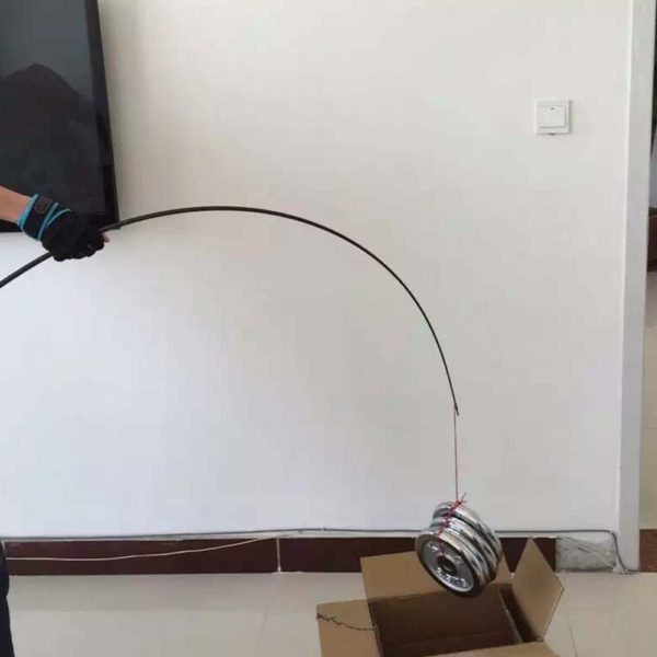 Sea Bass Fishing Rod