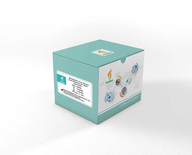 Monkeypox Virus Nucleic Acid Detection Kit (Real-Time PCR Method) - CE Certified