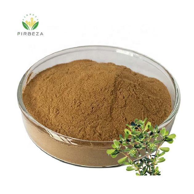 Pure Natural 10:1 Bacopa Monnieri Extract Powder