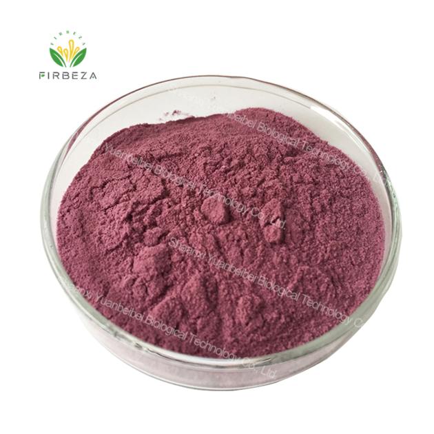 Cranberry Extract Powder 25% Anthocyanin