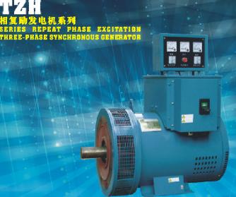 TZH SERIES REPEAT PHASE EXCITATION THREE-PHASE SYNCHRONOUS GENERATOR
