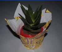 flower pot cover