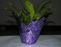 Decorative Flower Pot Coat for Green Plants