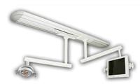 dual track light