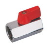 Brass Mini Ball Valve F/F