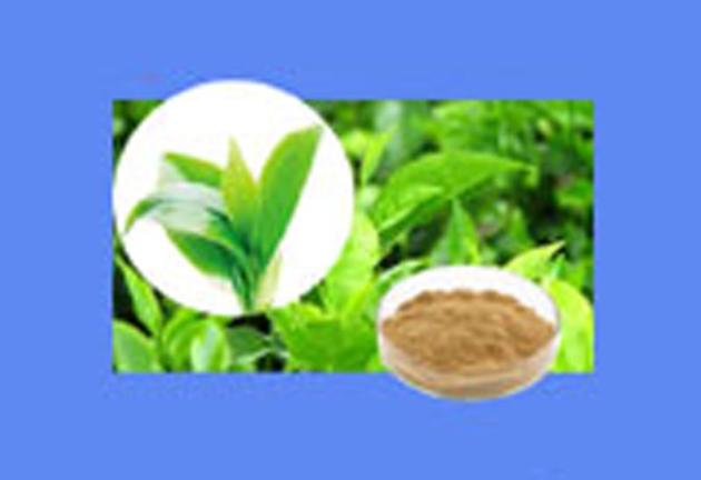 Food Additives