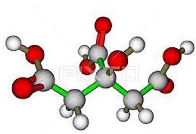 Food & Feed Additive