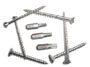 Self Tapping Screw