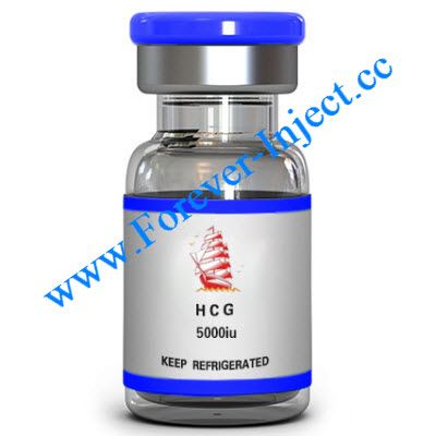 HCG 5000IU,beta human chorionic gonadotropin, Online wholesale