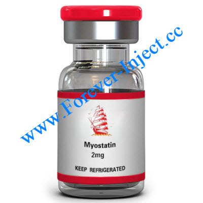 Myostatin, GDF-8, myostatin mutation human, Online wholesale