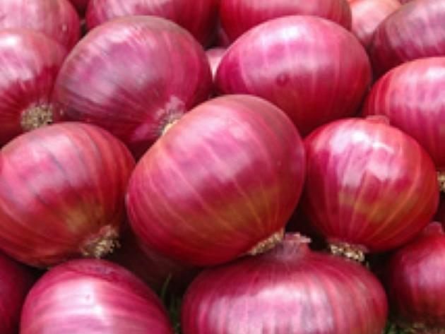 Red Onion