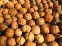 Walnuts