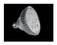 LED Lamps