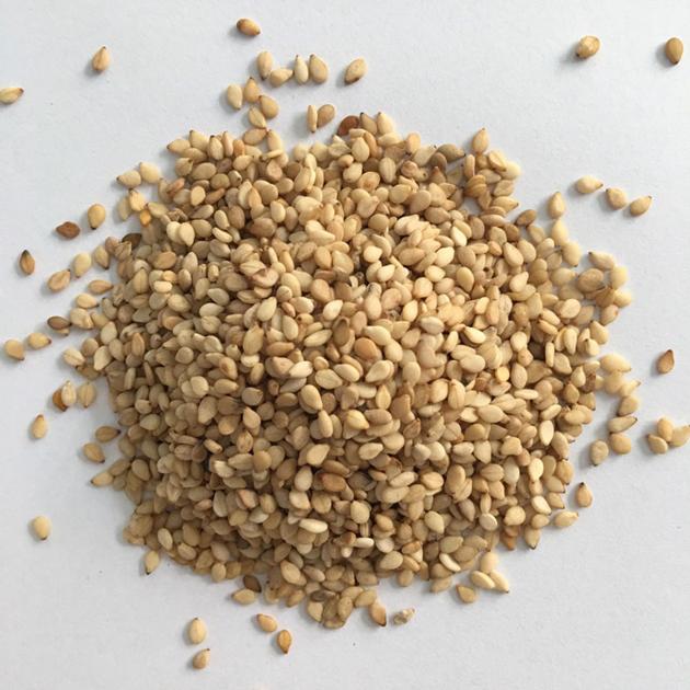 Vietnam sesame seeds