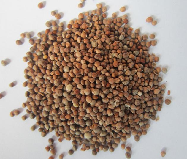 Roasted Perilla Seeds