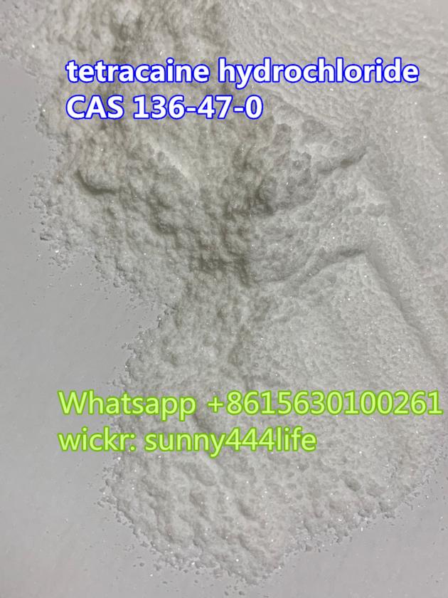 Tetracaine Hydrochloride CAS 136 47 0