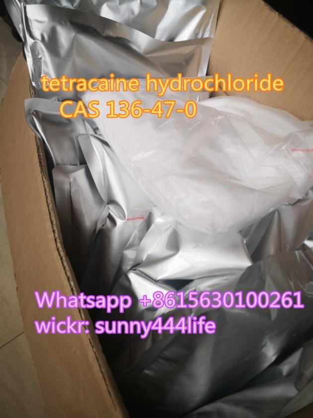 tetracaine hydrochloride CAS 136-47-0