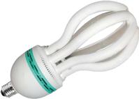 Lotus Series - Compact Fluorescent Lamp, Energy Saving Lamp