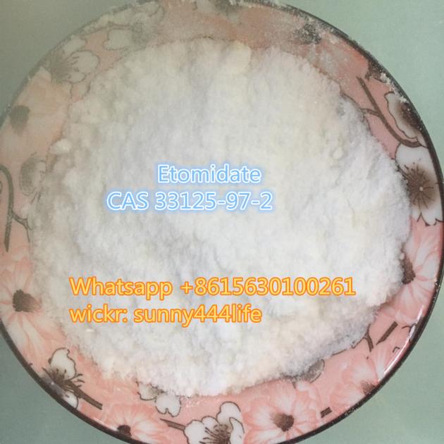 Etomidate CAS33125 97 2 Supply From